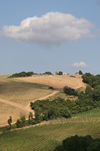 Podere Serratone